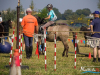 1138img_9652_09_12_2016