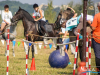1138img_9653_09_12_2016