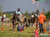 1138img_9656_09_12_2016