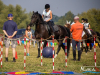 1144img_9686_09_12_2016