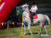 1151img_9699_09_12_2016