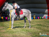 1151img_9701_09_12_2016
