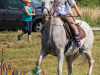 1154img_9706_09_12_2016