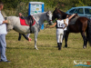 1154img_9712_09_12_2016