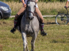 1155img_9720_09_12_2016