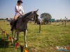 1155img_9724_09_12_2016