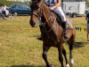 1204img_9763_09_12_2016