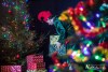 1126IMG_7965