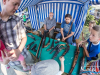 1834img_7870
