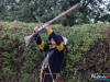1528img_0017