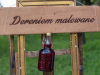 1309img_7729