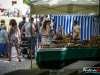 1245img_7302