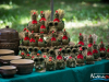 1245img_7308