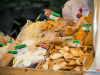 1257img_7342