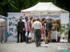 1259img_7360
