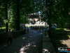 1329img_7421