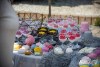 1044IMG_7342