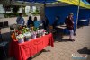 1050IMG_7420