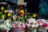 1050IMG_7422