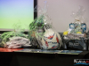 1843img_1981