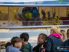 1747img_1145
