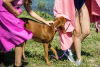 1424IMG_8512