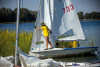 1515IMG_8520