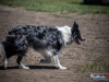 1128IMG_6206_wynik