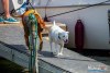 HMIMG_2627