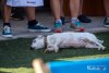 HMIMG_2851