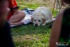 HMIMG_3715