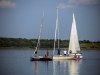 HMIMG_3396