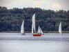 HMIMG_4771