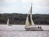 HMIMG_4796