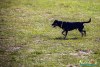 IMG_0540
