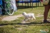 IMG_0541