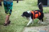 1145IMG_7898