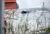 1159IMG_7978