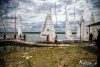 1154IMG_7534