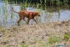 1200IMG_7540