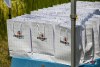 1251IMG_7527