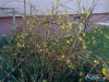 IMG_20200117_141505