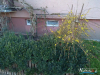 IMG_20200117_141520