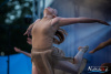 1834IMG_4920_wynik
