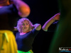 1745IMG_9039_wynik