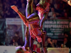gala-samba0029