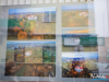 1346img_3181