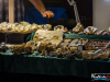 1240_img_5867