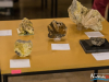 1242_img_5879