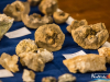 1242_img_5884